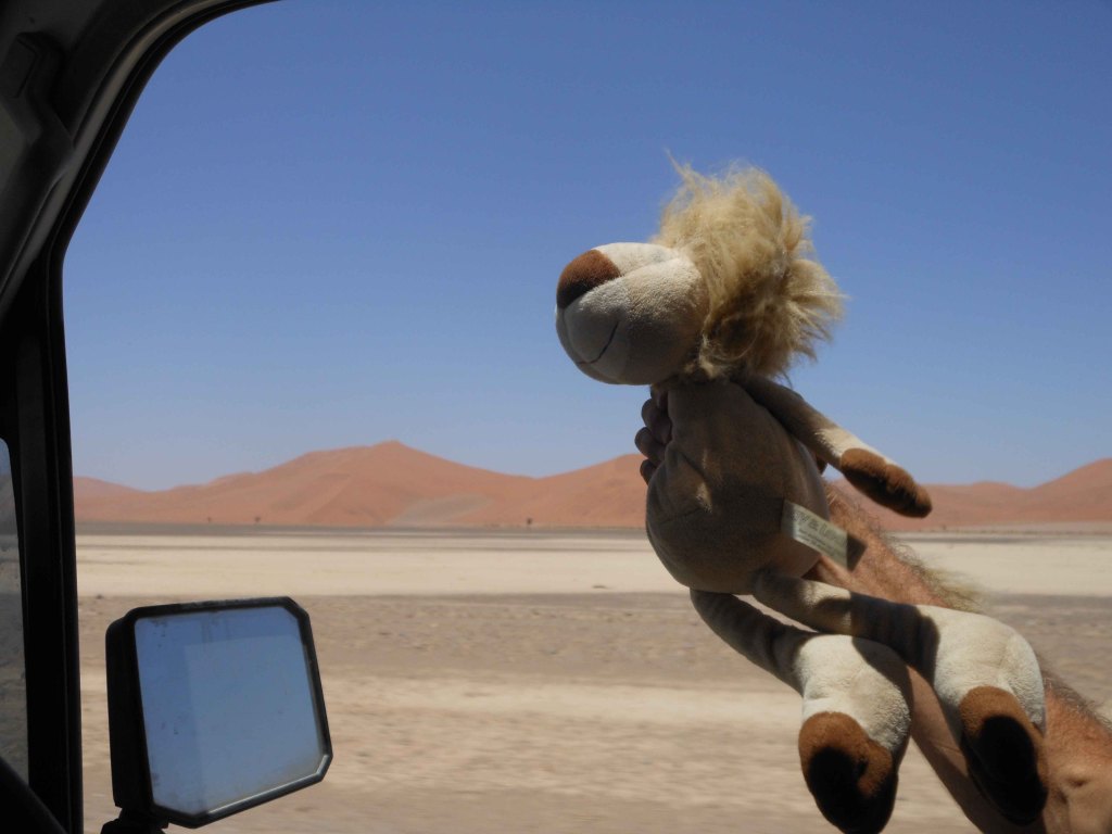 Leo flying among the red dunes