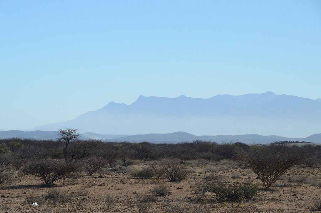 The distant Brandberg